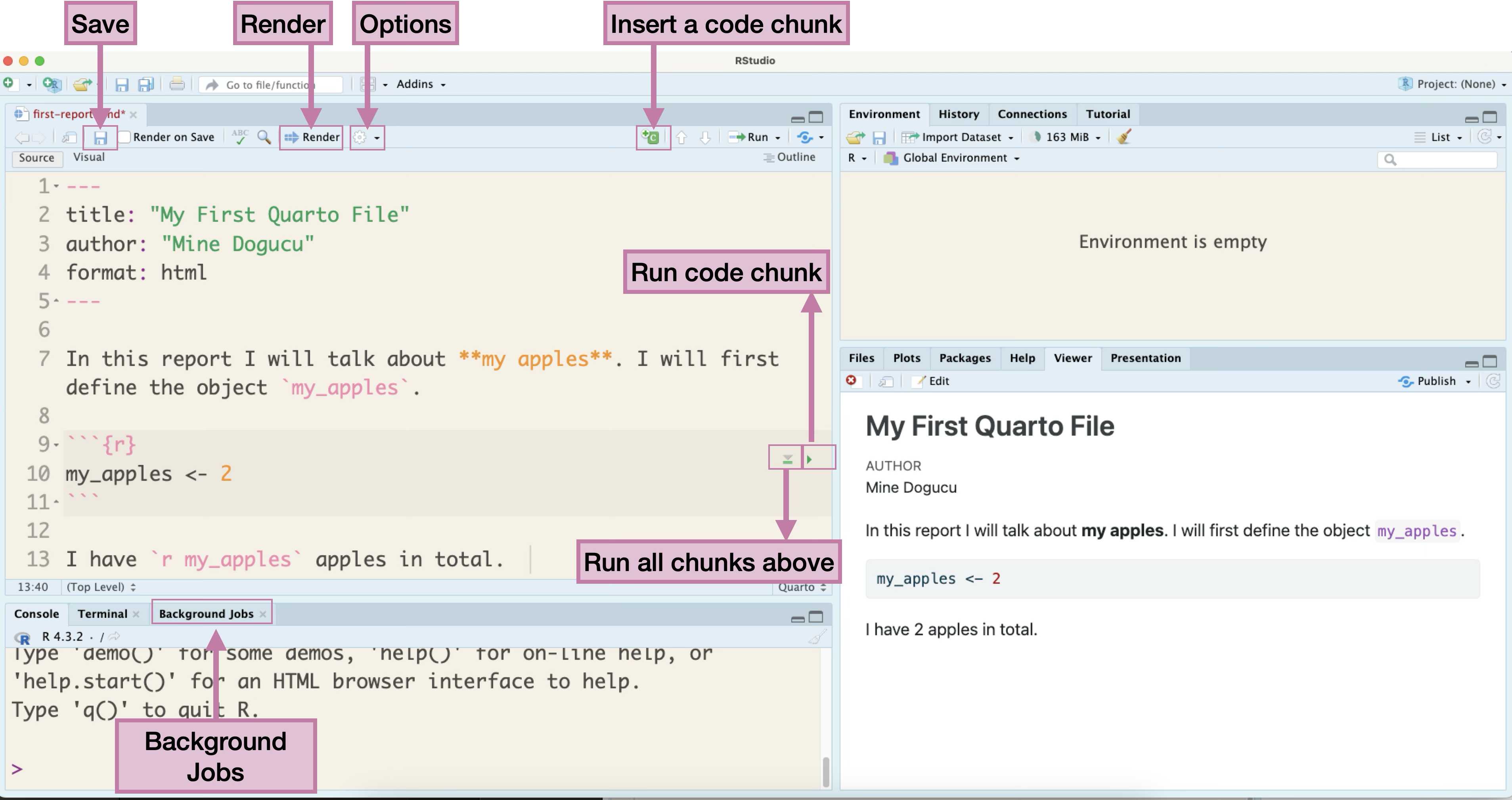 A screenshot of the RStudio IDE displaying a Quarto document. The screen is divided into multiple panes. The left pane shows the Quarto source code, which includes YAML metadata (title, author, format: html), a text paragraph, and an R code chunk (`my_apples <- 2`). The bottom-left pane shows the R console and "Background Jobs" tab. The right pane displays the rendered output of the Quarto document, showing "My First Quarto File", the author, the descriptive text, and the result "my_apples <- 2" leading to "I have 2 apples in total". Pink labels and arrows highlight key RStudio features: top toolbar buttons for "Save", "Render", "Options", and "Insert a code chunk"; buttons next to a code chunk for "Run code chunk" and "Run all chunks above"; and the "Background Jobs" tab in the console.