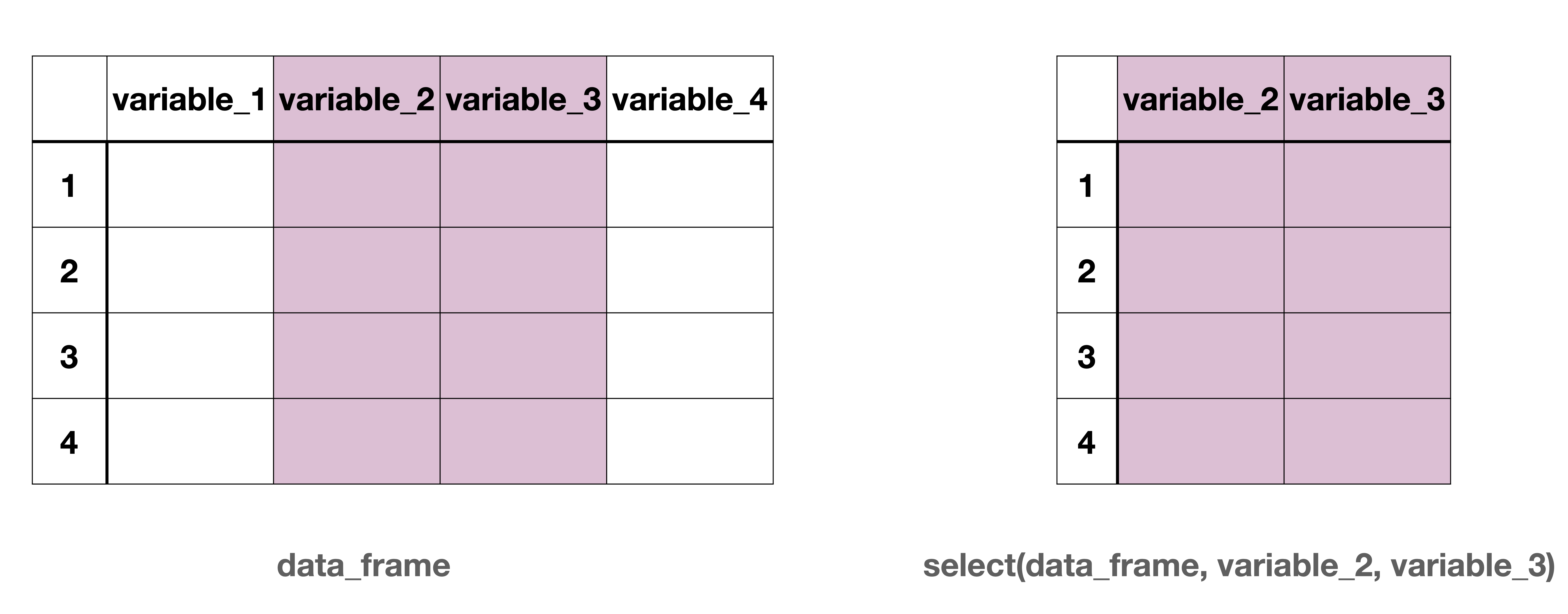 Side-by-side schematic of a data frame and a subset of it. On the left, a table labeled data_frame shows four rows (1–4) and four columns named variable_1, variable_2, variable_3, and variable_4. The columns variable_2 and variable_3 are shaded in pink to indicate selection. On the right, a smaller table labeled select(data_frame, variable_2, variable_3) displays only the two shaded columns, variable_2 and variable_3, for the same four rows, illustrating how selecting columns reduces the data frame to those variables.