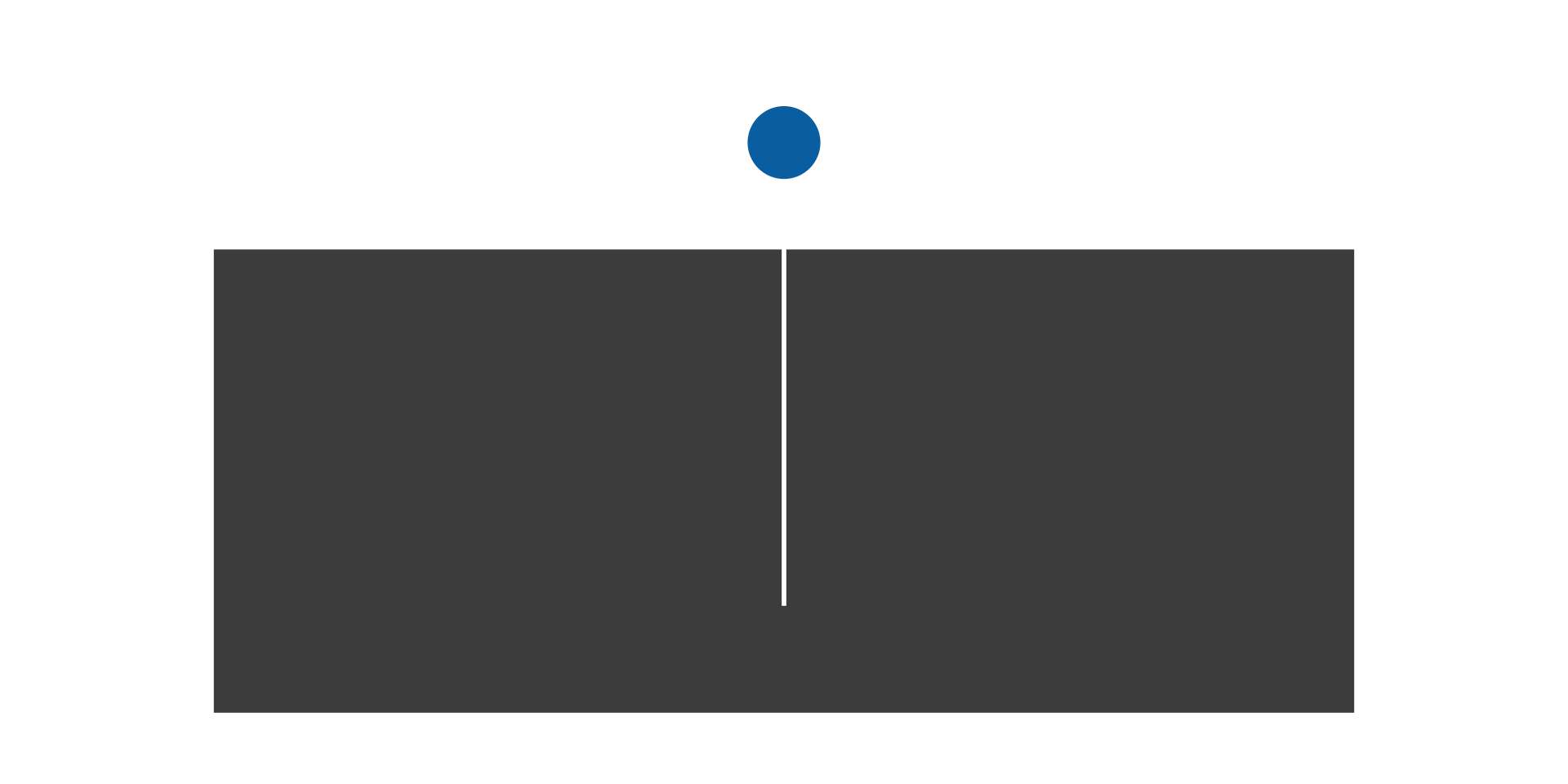 There is a dark gray vase like figure with contents invisible. Above the "bag" there is a blue ball drawn